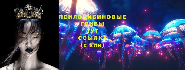 мдпв Богородск