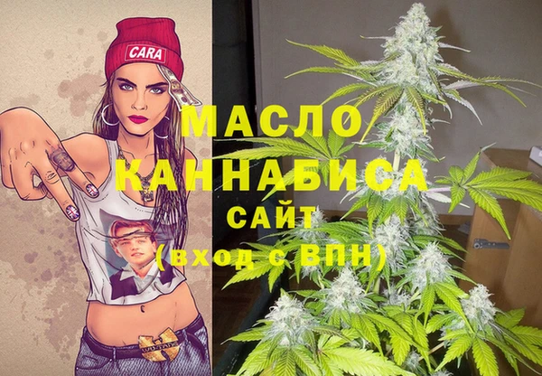 мдпв Богородск