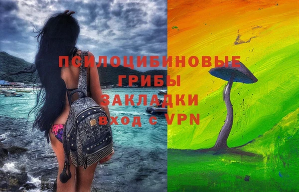 тгк Богданович