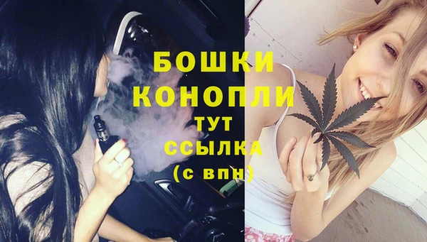мдпв Богородск