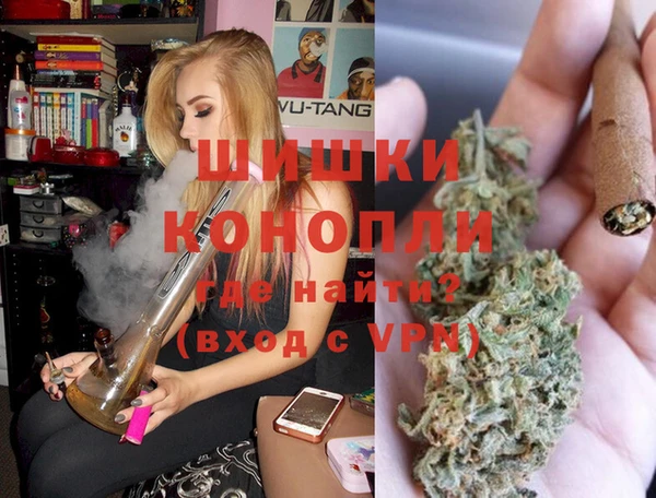 мдпв Богородск