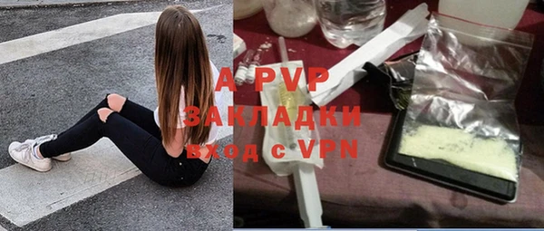 тгк Богданович